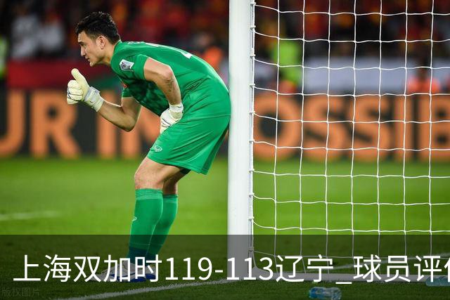 上海双加时119-113辽宁 球员评价：4人优秀，3人及格，4人低迷