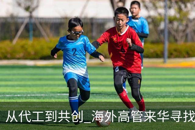 从代工到共创 海外高管来华寻找机器人“中国方案”