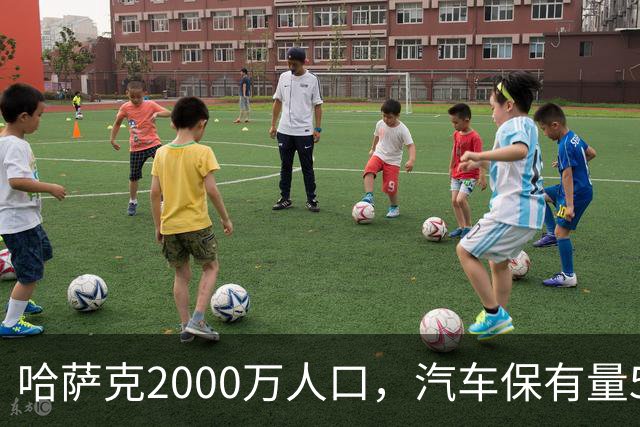 哈萨克2000万人口，汽车保有量540万辆，新疆2600万人有多少？