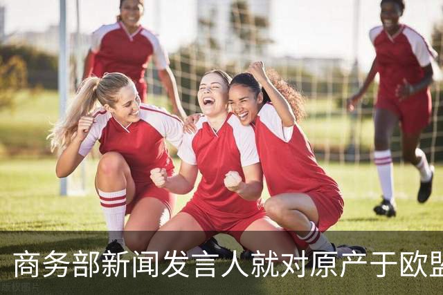 商务部新闻发言人就对原产于欧盟的进口对硝基甲苯发起反倾销调查答记者问