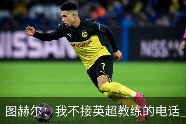 图赫尔：我不接英超教练的电话 别指望我为了俱乐部轮休球员