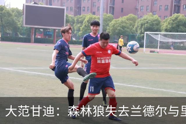 大范甘迪：森林狼失去兰德尔与里德实力骤降 最多排西部第六