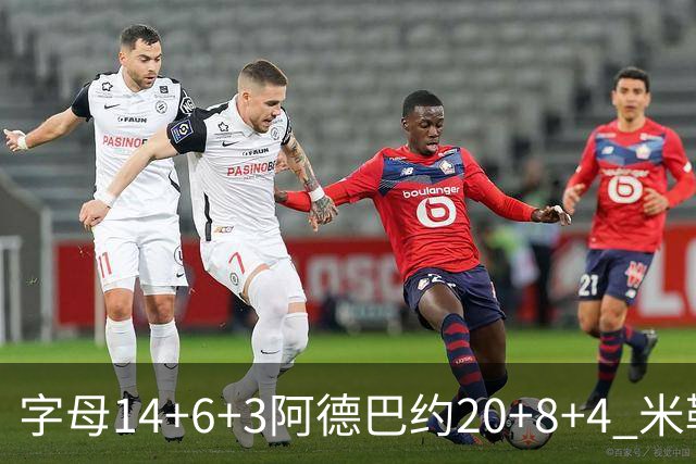 字母14+6+3阿德巴约20+8+4 米勒34分黄蜂送热火3连败