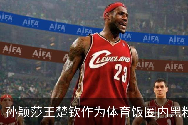 孙颖莎王楚钦作为体育饭圈内黑粉支持者，有义务出来发声制止黑粉
