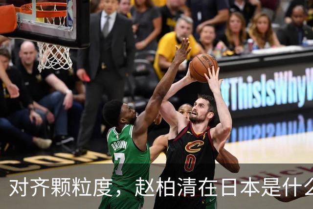 对齐颗粒度，赵柏清在日本是什么水平？