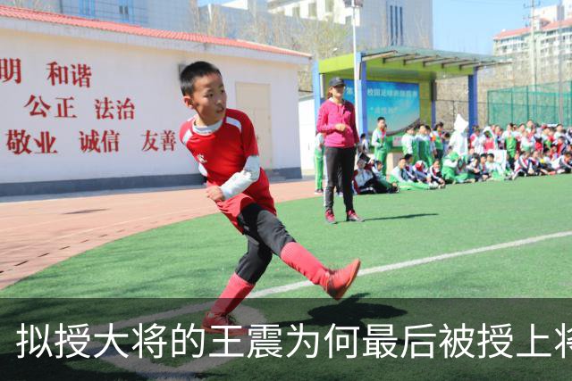 拟授大将的王震为何最后被授上将？和战功无关，贺龙的态度是关键