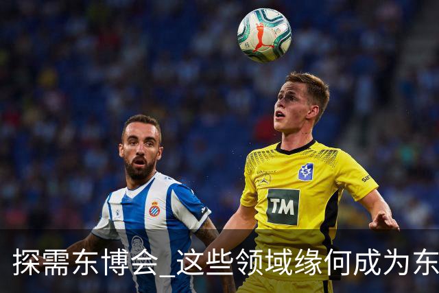 探需东博会 这些领域缘何成为东盟客商关注点