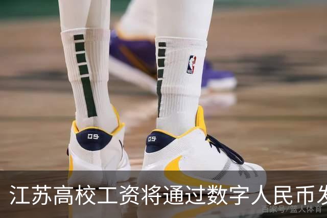 江苏高校工资将通过数字人民币发放，与微信支付宝区别曝光，网友表示应当尊重个人意愿