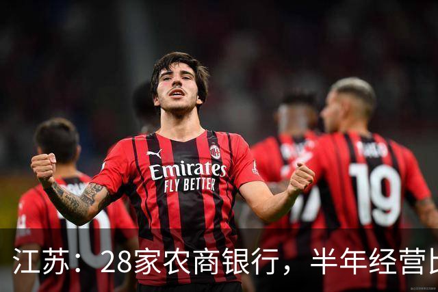 江苏：28家农商银行，半年经营比较