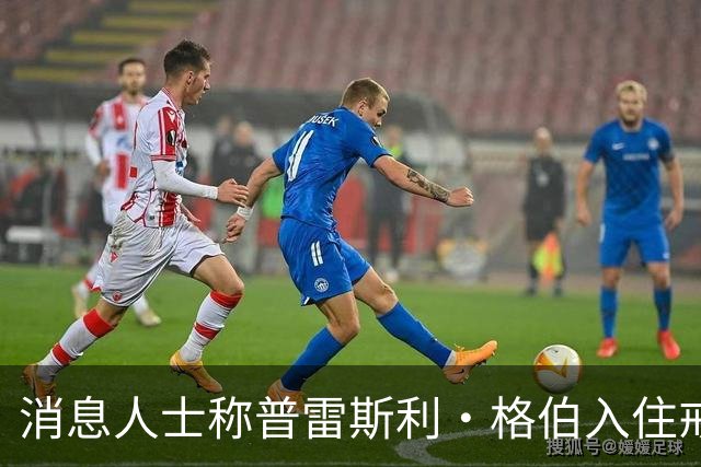 消息人士称普雷斯利·格伯入住戒疗机构时未受常规检查