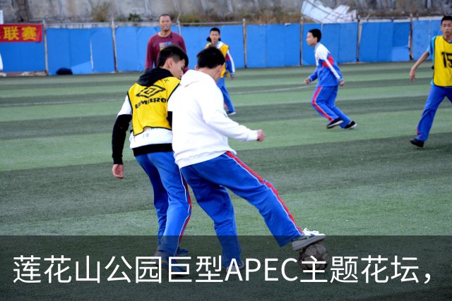莲花山公园巨型APEC主题花坛，绿雕长达21米
