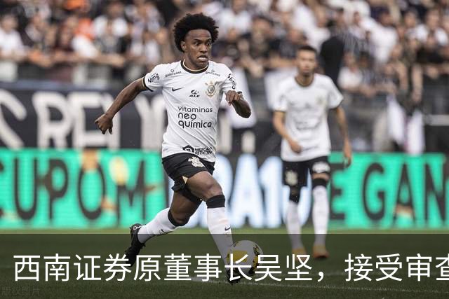 西南证券原董事长吴坚，接受审查调查