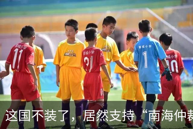 这国不装了，居然支持“南海仲裁法”，我国强硬回应，不简单