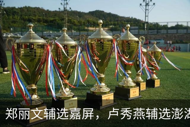 郑丽文辅选嘉屏，卢秀燕辅选澎湖，蒋万安辅选高雄，韩国瑜中立？
