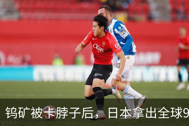 钨矿被卡脖子后，日本拿出全球90%日产王牌，我国能招架吗？