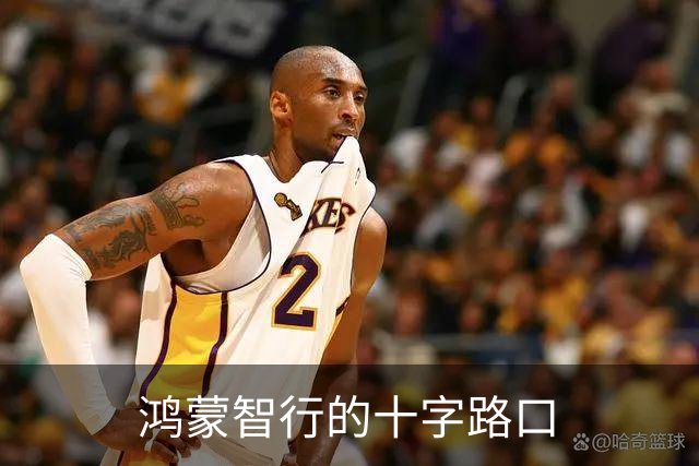 鸿蒙智行的十字路口