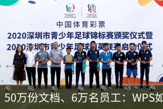 50万份文档、6万名员工：WPS如何把AI真正送进制造业一线？
