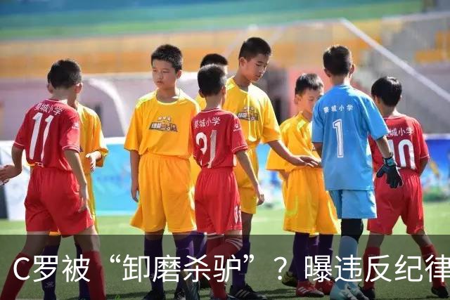 C罗被“卸磨杀驴”？曝违反纪律条例，或遭停赛处罚，球迷：不会
