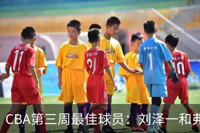 CBA第三周最佳球员：刘泽一和弗格携手当选